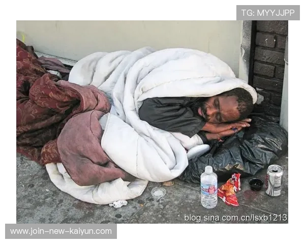 流浪者在反击中展现活力——坚持与奋斗的力量